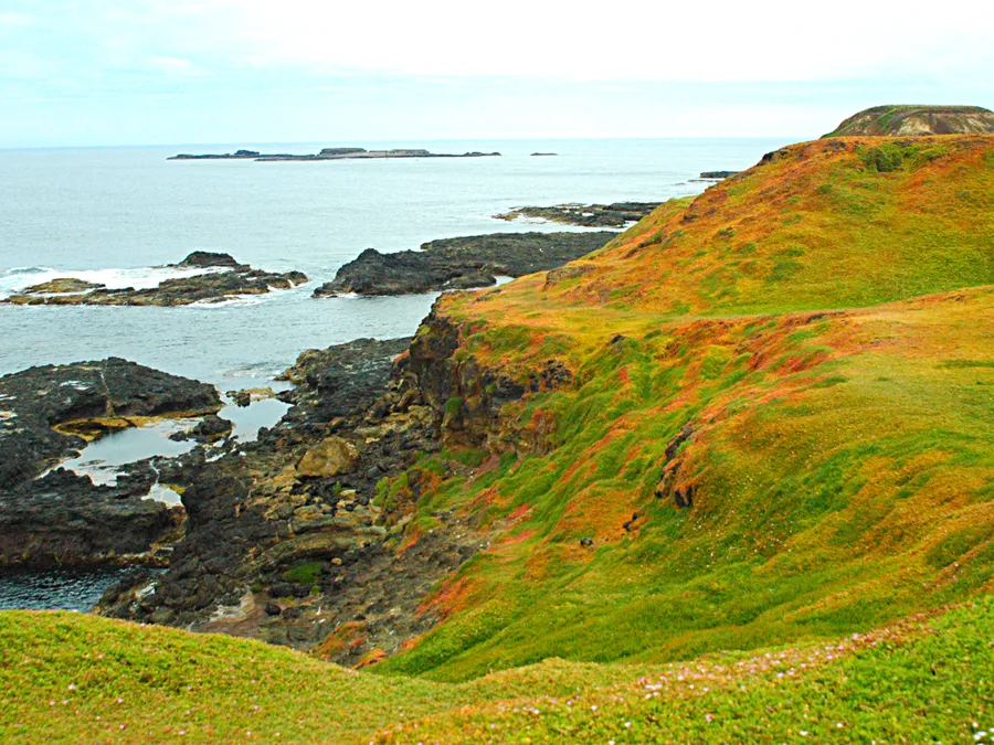 Phillip Island Tour — in practice