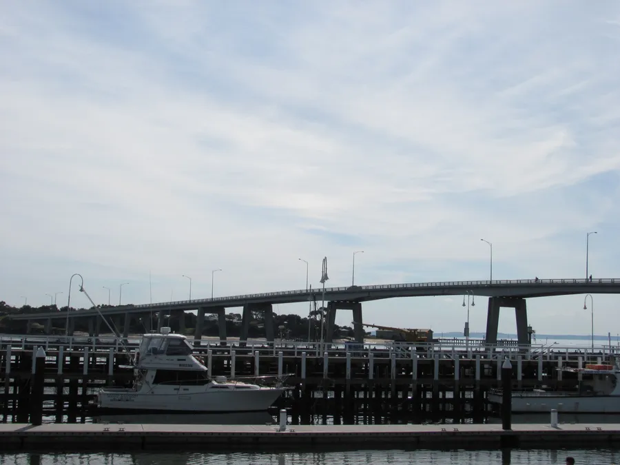 Phillip Island Tour