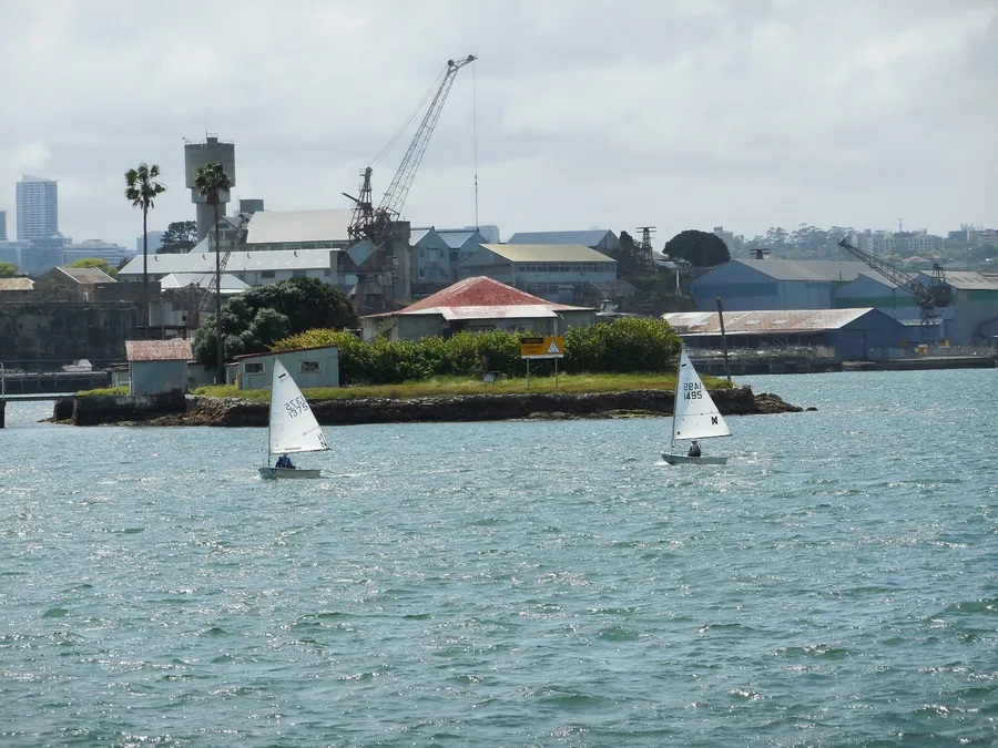 Phillip Island Tour — up close