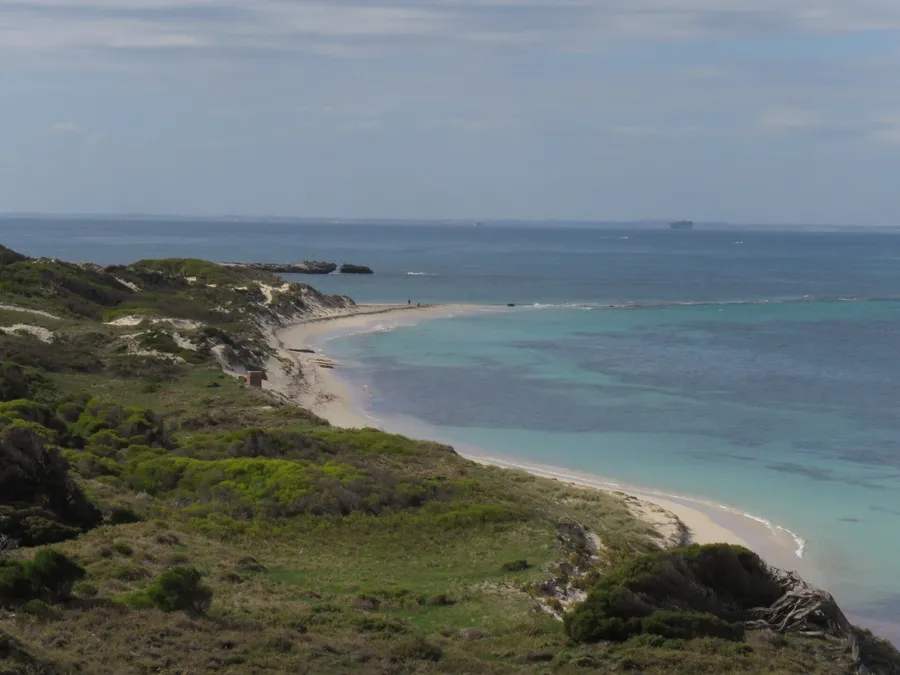Phillip Island Tour questions