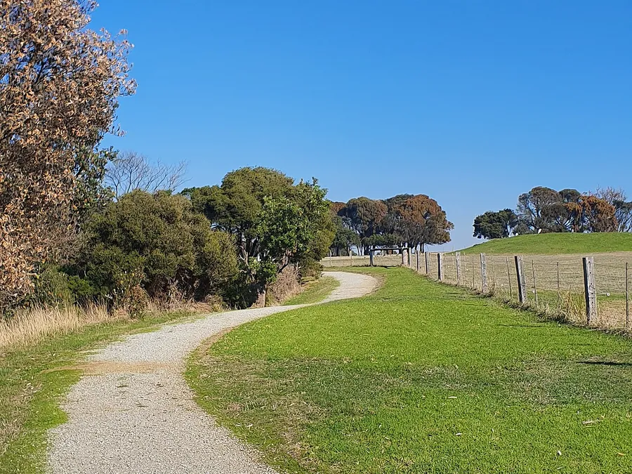 Common Phillip Island Tour mistakes