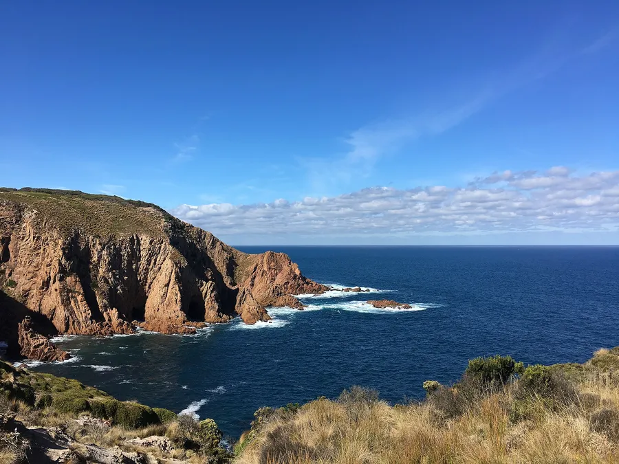 Choosing in Phillip Island Tour