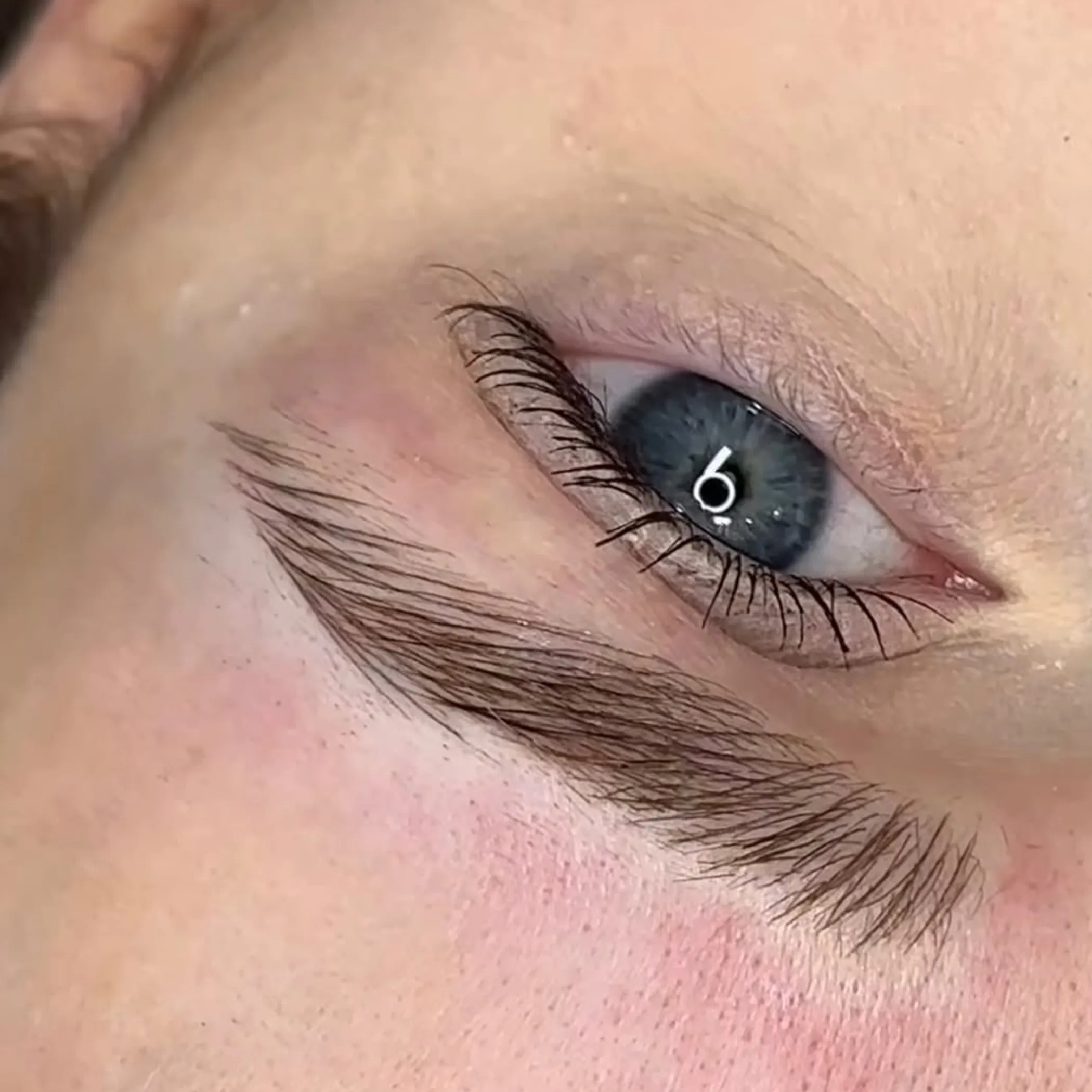 eyebrow microblading detail
