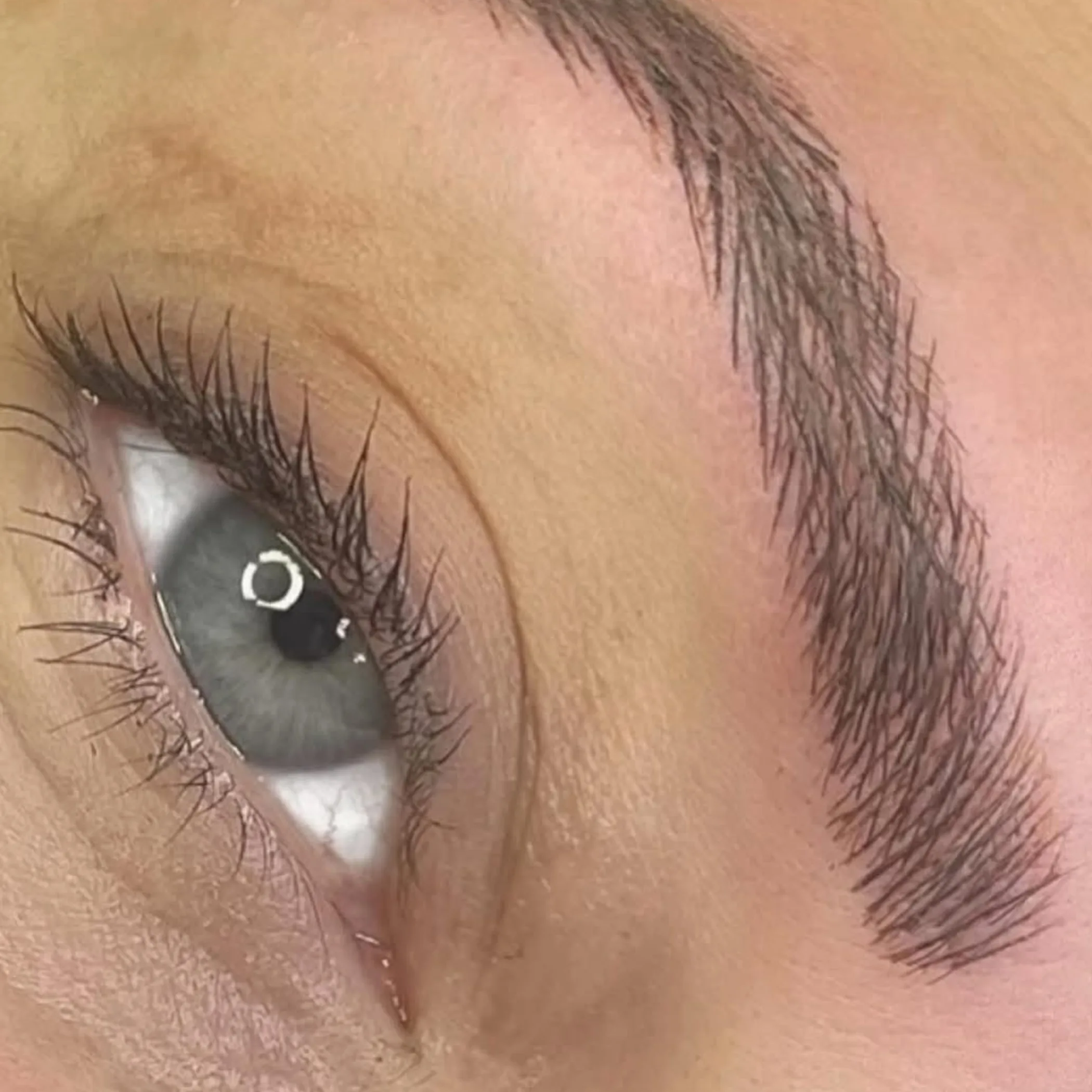 well-lit eyebrow close-up